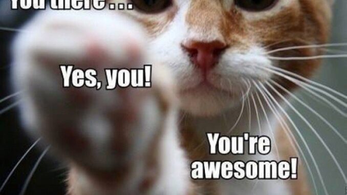 you-are-awesome-cat-kitty-face-pointing-at-you