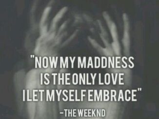 Awaken My Love - Now My Madness Is The Only Love I Let Myself Embrace